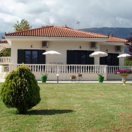 Finikes Studios Kefalonia Sami  Dış mekan fotoğraf