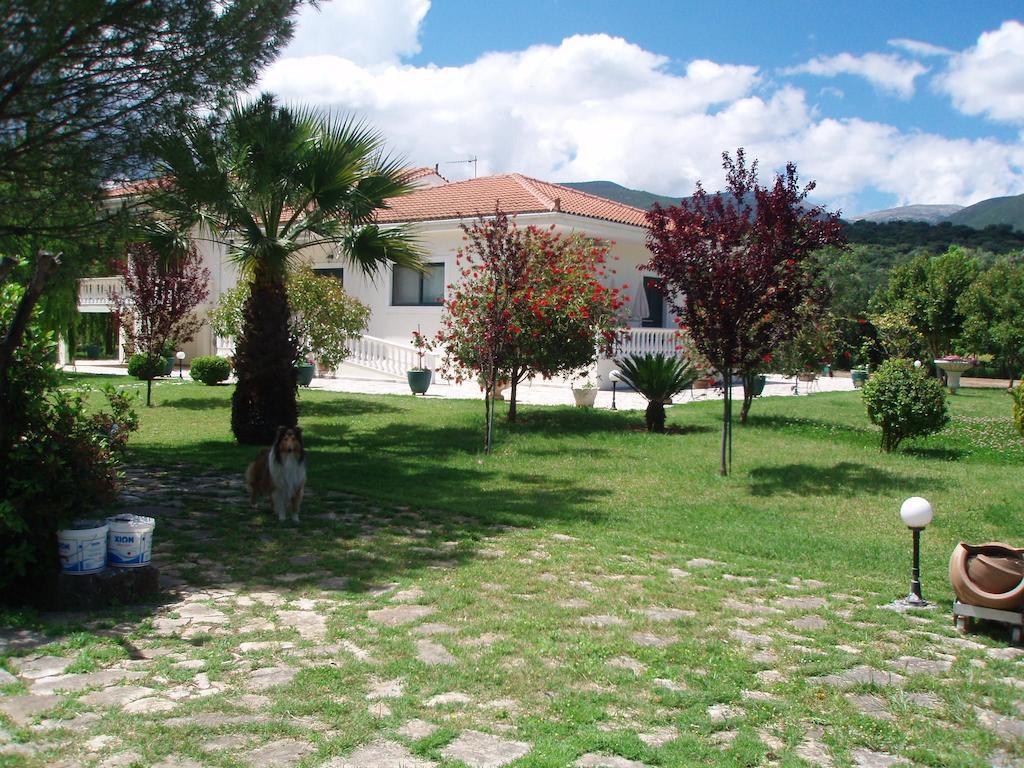 Finikes Studios Kefalonia Sami  Dış mekan fotoğraf
