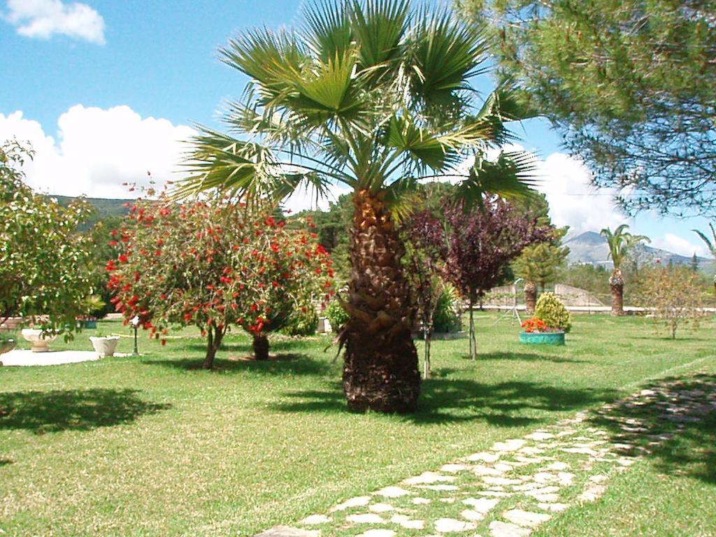 Finikes Studios Kefalonia Sami  Dış mekan fotoğraf