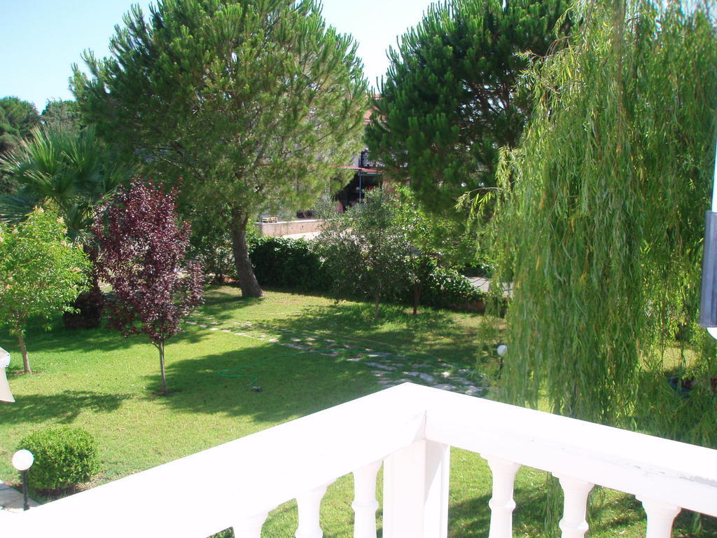 Finikes Studios Kefalonia Sami  Dış mekan fotoğraf