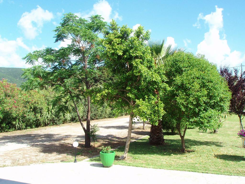 Finikes Studios Kefalonia Sami  Dış mekan fotoğraf