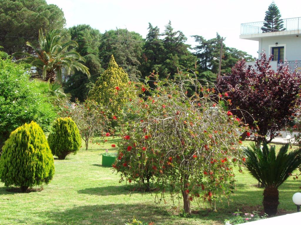 Finikes Studios Kefalonia Sami  Dış mekan fotoğraf