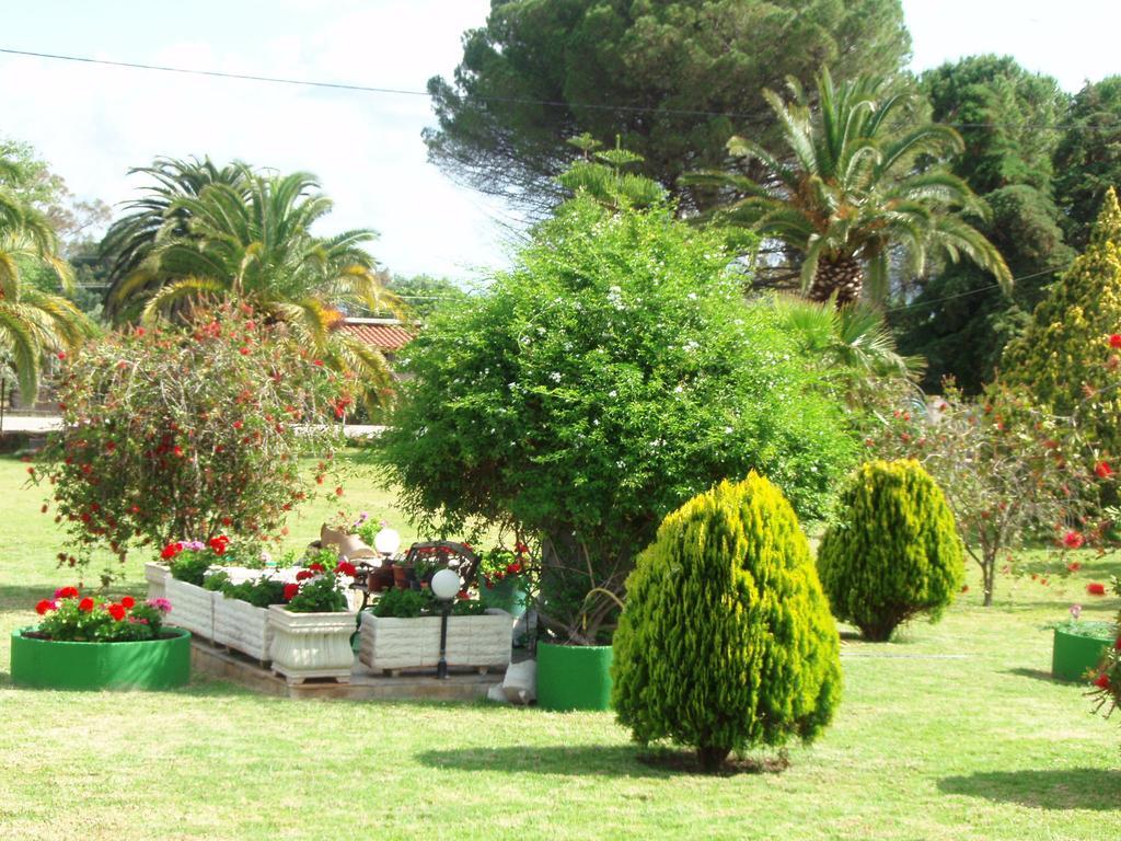 Finikes Studios Kefalonia Sami  Dış mekan fotoğraf