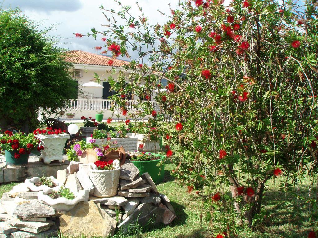 Finikes Studios Kefalonia Sami  Dış mekan fotoğraf