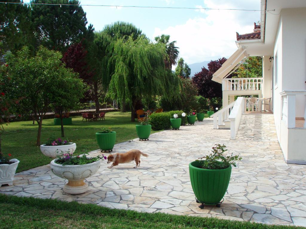 Finikes Studios Kefalonia Sami  Dış mekan fotoğraf