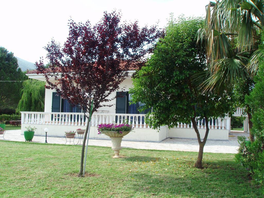 Finikes Studios Kefalonia Sami  Dış mekan fotoğraf