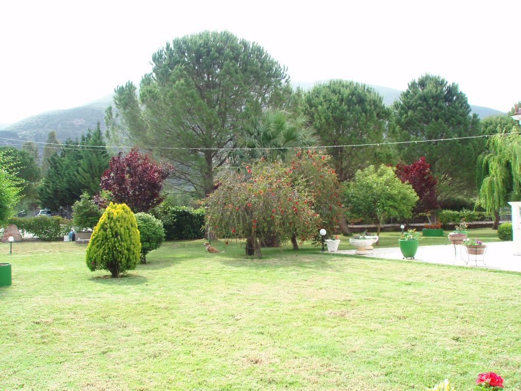 Finikes Studios Kefalonia Sami  Dış mekan fotoğraf