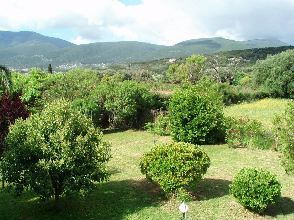 Finikes Studios Kefalonia Sami  Dış mekan fotoğraf